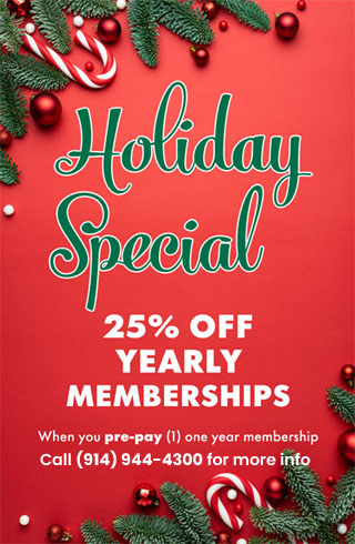 Holiday 2025 special - 25% off