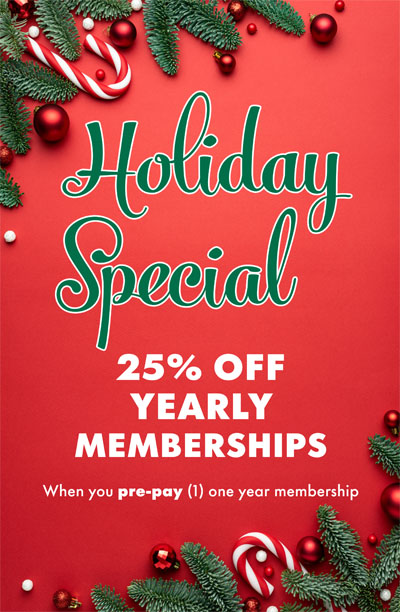 Holiday 2025 special - 25% off
